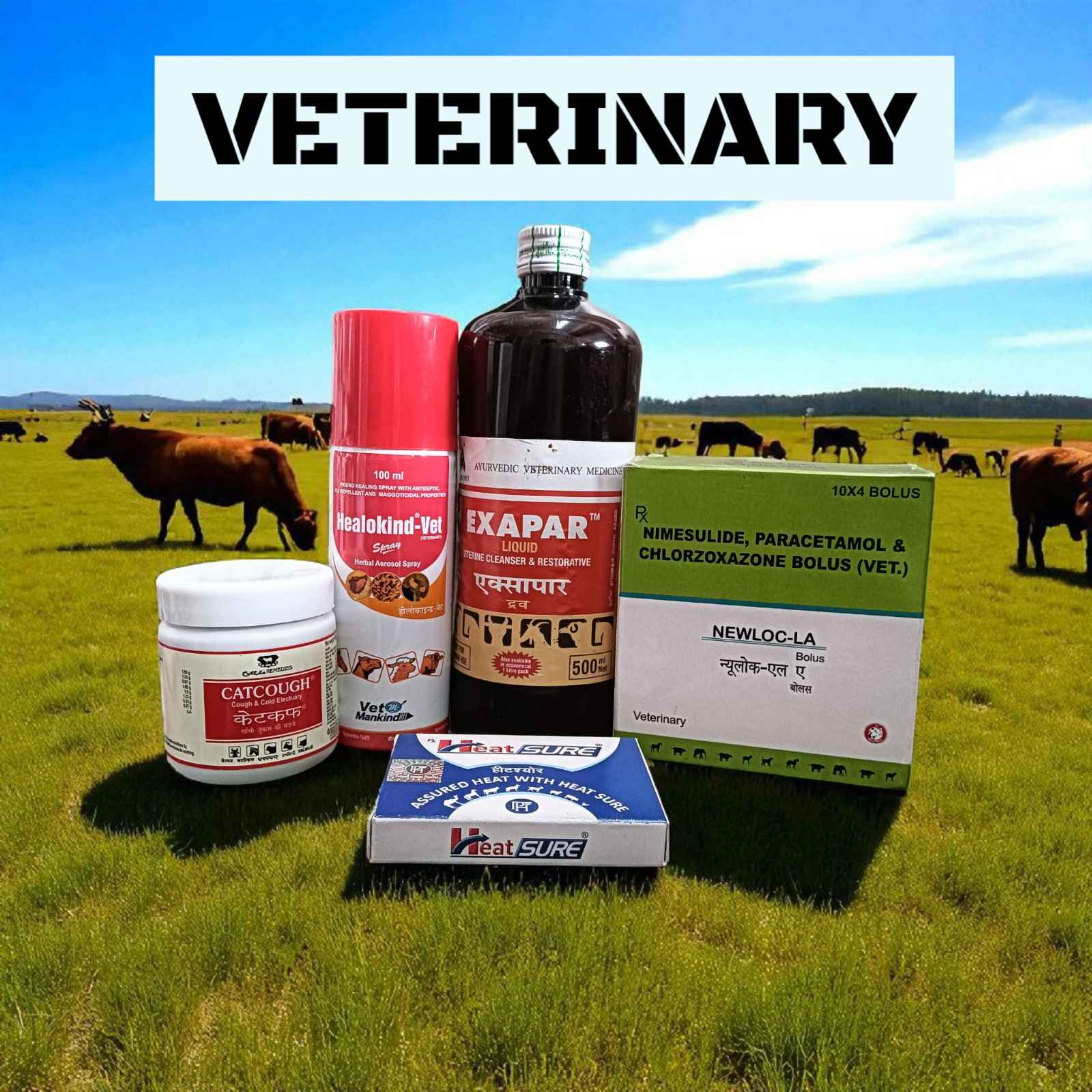 veterinary